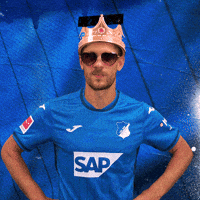 Andrej Kramaric Sport GIF by TSG Hoffenheim