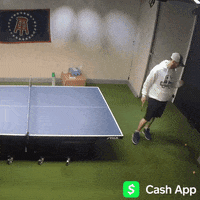 Big Cat Honk GIF by Barstool Sports