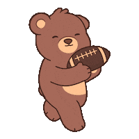 Super Bowl Win Sticker by BEARISH
