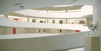 new york GIF