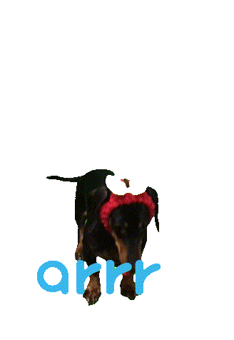 아르르 Sticker by arrr_official