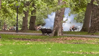 Hyde Park Gun Salute Marks the Official Proclamation of King Charles III