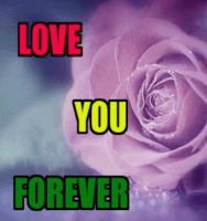 love is love GIF