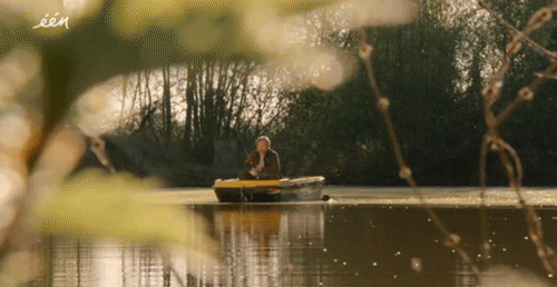 loslopend wild en gevogelte GIF by vrt
