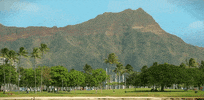 hawaii GIF