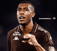 Vascaojogador GIF
