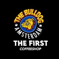 Thebulldog GIF by The Bulldog Amsterdam