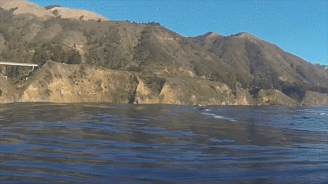 GIF by University of California