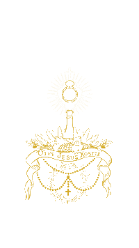 MadreCarmenVenezuela siervasdejesus madrecarmen madrecarmendevenezuela huellasdesantidad Sticker