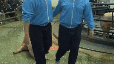 easttw giphyupload GIF