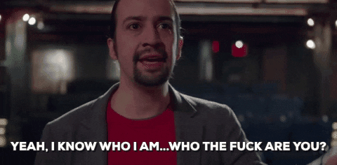 lin manuel miranda who the fuck are you GIF
