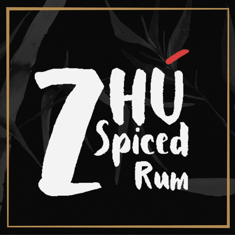 zhuspicedrum giphyupload GIF
