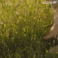 Emilia Fox Summer GIF by Acorn TV