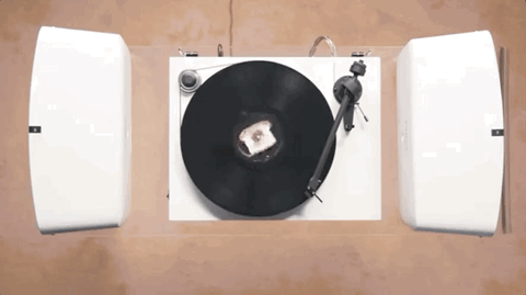 GIF by Jenny Lewis