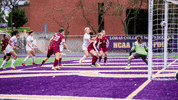 Lorasathletics Goduhawks GIF by Loras College