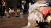hitting fox tv GIF by STAR