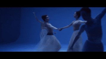 bon duke dance GIF by New York City Ballet