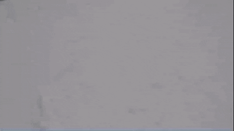 ShaggyEells giphygifmaker GIF