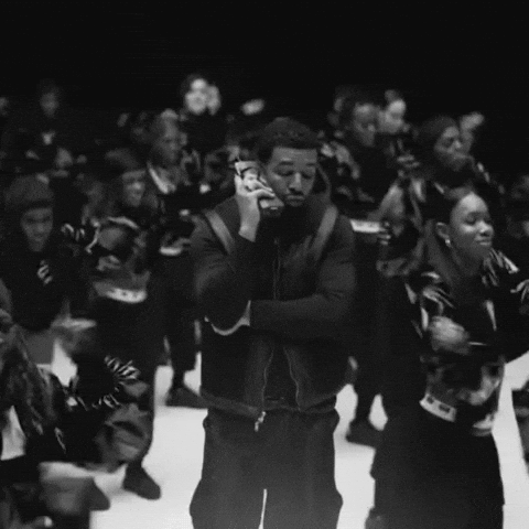 Call Me Drake GIF
