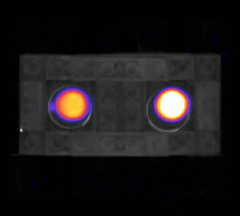 leoniessner giphygifmaker GIF