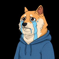 Sad Shiba Inu GIF by Doge Pound