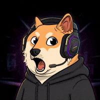 Video Games Wow GIF by Doge Pound