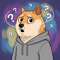 Shiba Inu What GIF by Doge Pound