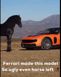 Ferrari Luce GIF