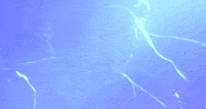 Ovo Sound GIF by Majid Jordan