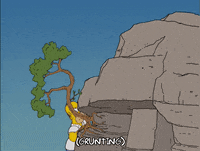 homer simpson episode 22 GIF