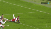 Partizan GIF by sportmts