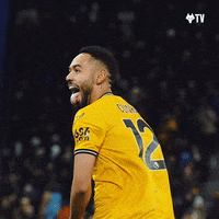 Happy Premier League GIF by Wolves