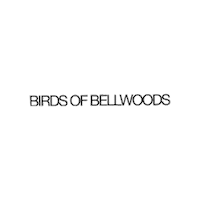 birdsbellwoods logo rock pop band Sticker
