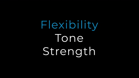 SitTwister giphyupload fitness workout exercise GIF