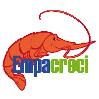empacreci shrimp seafood shrimps camaron Sticker