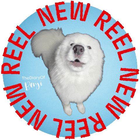 Reel Haul Sticker