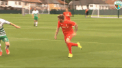 the new saints football GIF by TNSFC