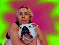 Wildflower GIF by 5 Seconds of Summer