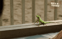 Harry Running Away GIF by Death In Paradise
