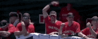 World Series Baseball GIF by NCAA Championships