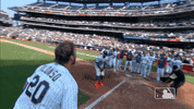 Ny Mets Sport GIF by MLB