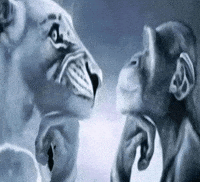 Monkey Lion GIF
