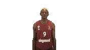 Celebration Deutschland Sticker by FC Bayern Basketball