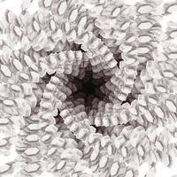 Motion Graphics Geometry GIF by xponentialdesign