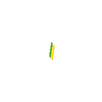 Bmw Toyota Sticker by Grand Brasil