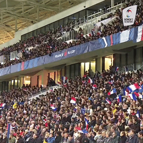 Womens6Nations fan fans womens six nations GIF