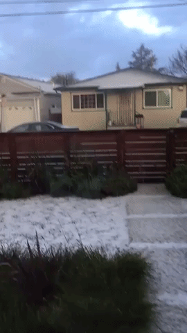 Oakland Battered by Snow-Like Hail Storm