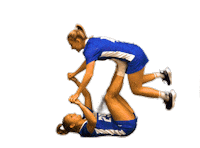 College Sports Fun Sticker by Delaware Blue Hens