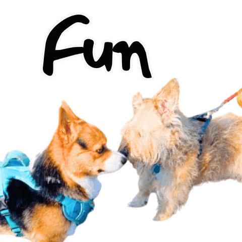Fun Friend Sticker
