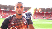 Premier League Football GIF by Southampton FC